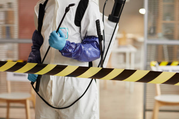 Professional Sewage Cleanup technician working in Marion, PA